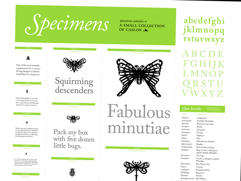 Typographic bug poster